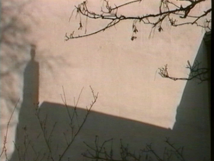 Film Still: Lutz Mommartz - Wall of shadows